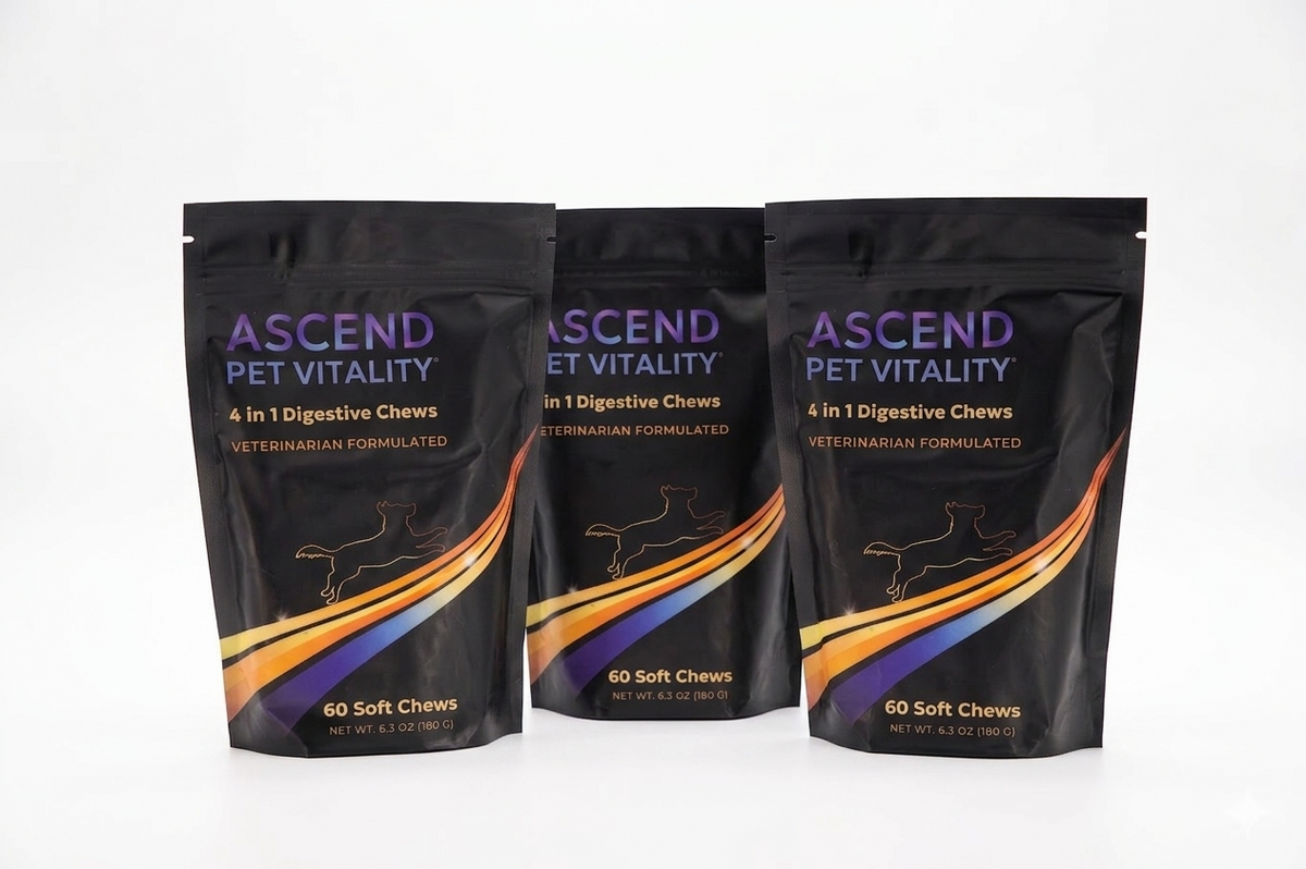 4 in 1 Digestive Chews