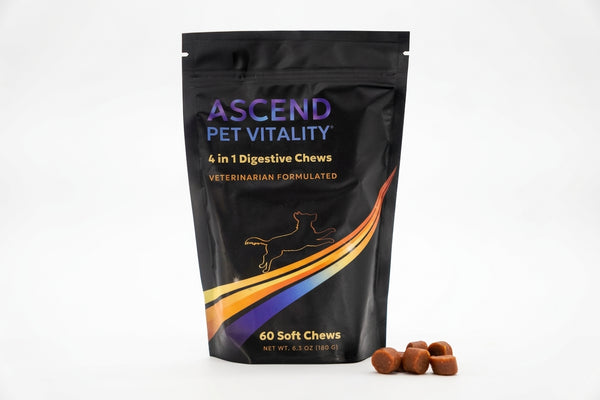 4 in 1 Digestive Chews